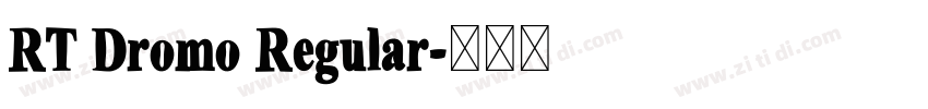 RT Dromo Regular字体转换